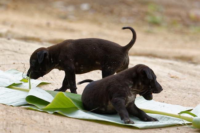 Famille et amis-MAI17-065